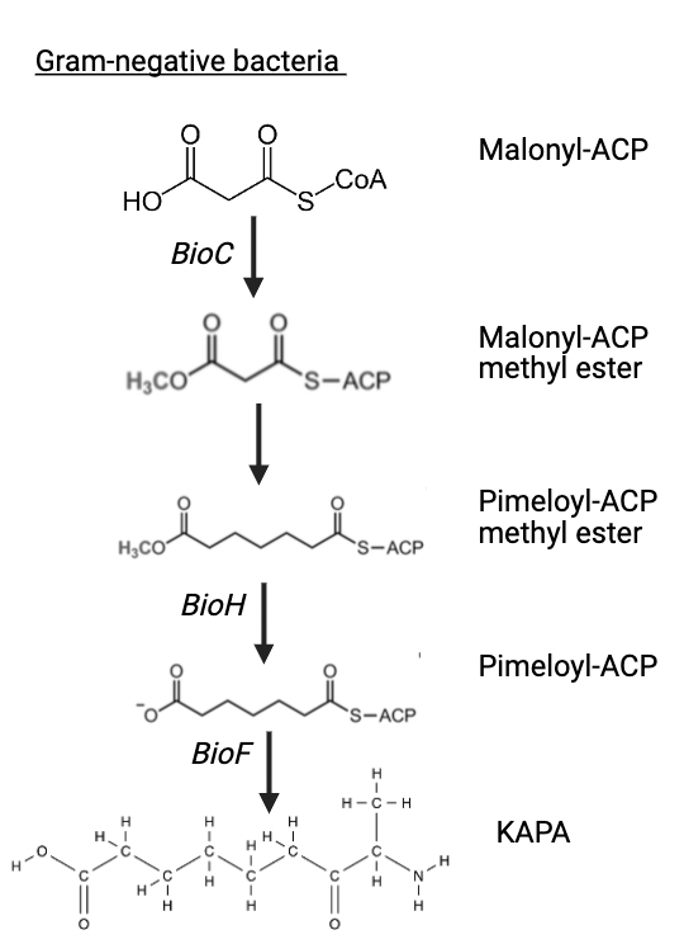 Chemical formula diagram